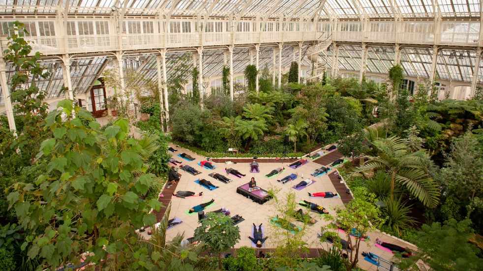 Kew Gardens yoga